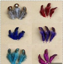 Retail Free Shipping 20pcs/lot 5-8cm party decorative feather pheasant plume feather natural feathers Clothing accessories