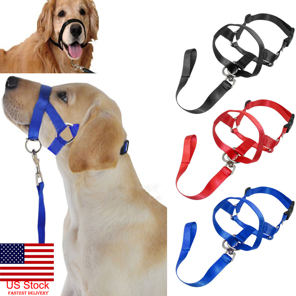 no pull dog head collar