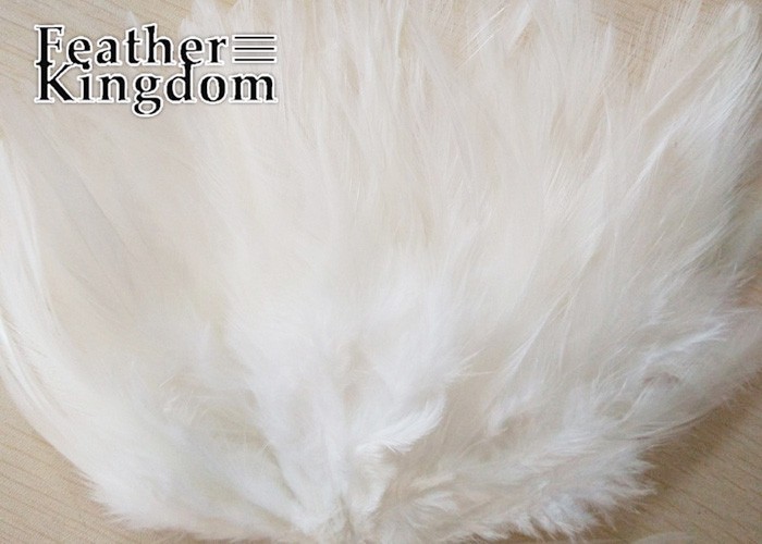 white chicken feather -700