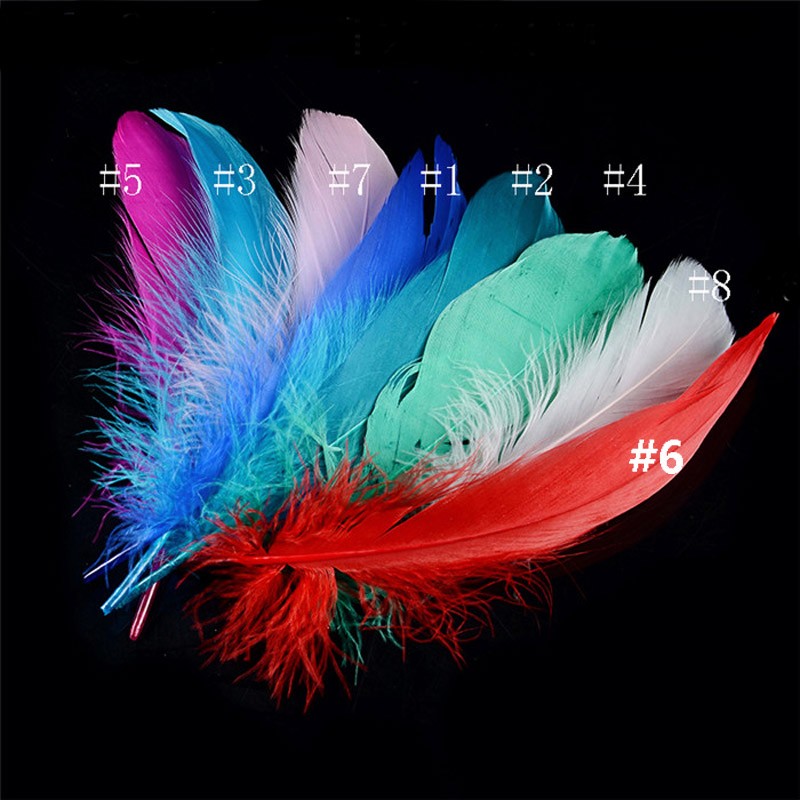 mix Dyed Duck Feather`