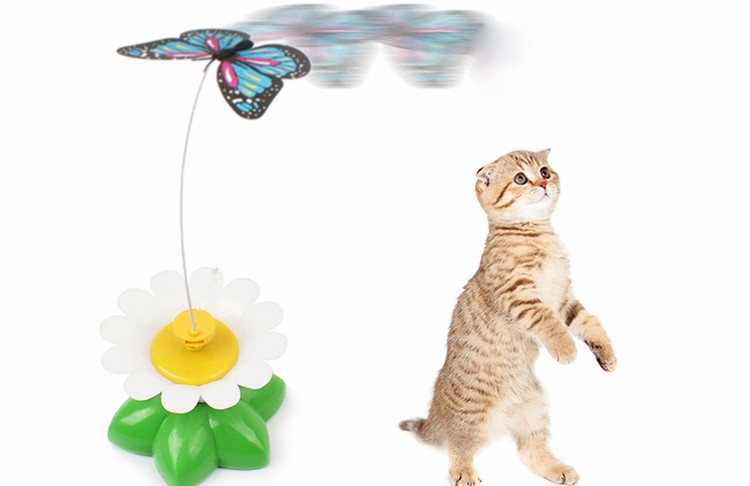 battery operated butterfly cat toy