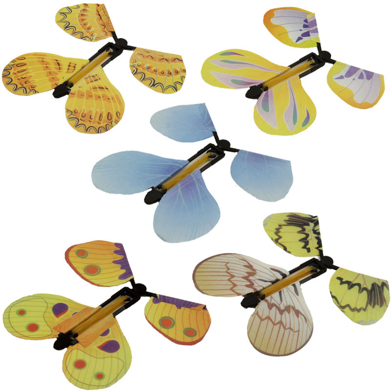 butterfly transformations essay He continued to watch the butterfly expecting that, at any moment, the wings would dry out, enlarge and expand to support the swollen body. butterfly transformations essay He continued to watch the butterfly expecting that, at any moment, the wings would dry out, enlarge and expand to support the swollen body.