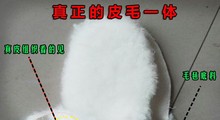 HTB1yVQbNpXXXXbyaXXXq6xXFXXXT