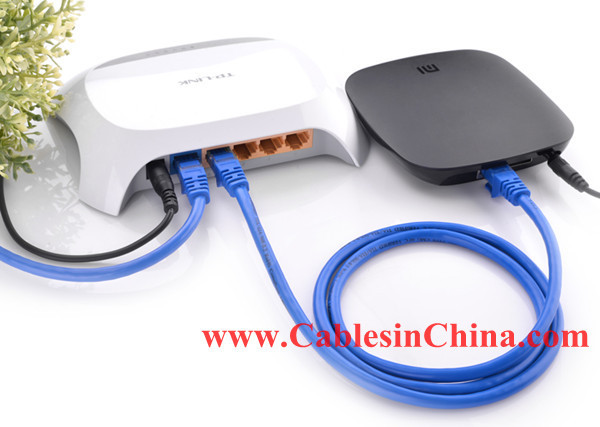QQ20150821154610_.jpg