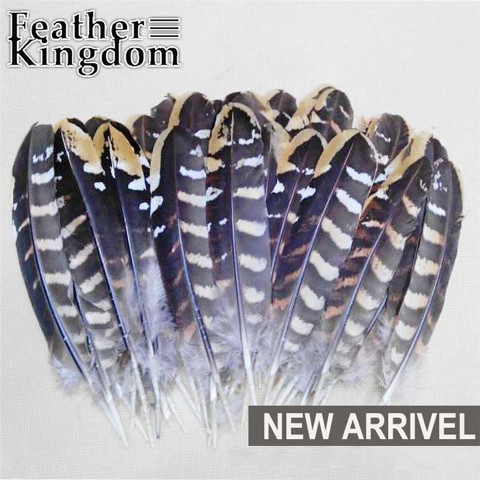 Reeves pheasant feather 9
