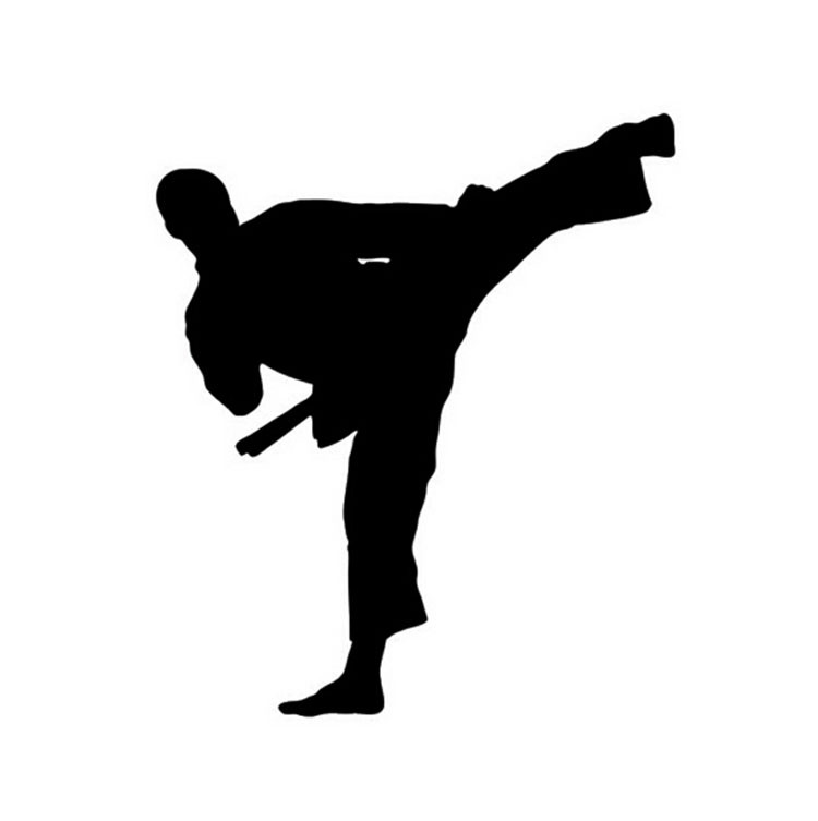 Adesivi per Auto Arti Marziali da Karate Moto per Kung Fu Taekwondo