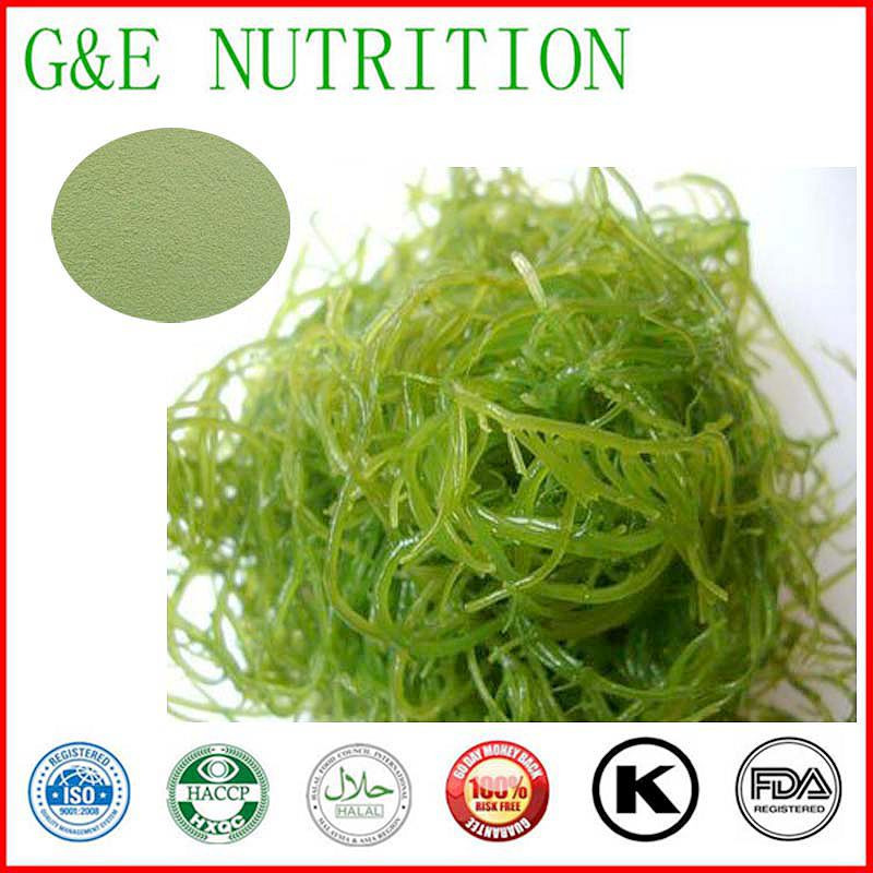 100% Natural Pure Seaweed Extract / Fucoidan / Fucoxanthin  10:1    700g