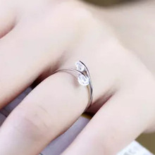 Drop Shipping 925 Sterling Silver twinkling Double Zircon Rhinestone inlay Opening Adjustable Silver Plated Ring for