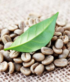 Free shipping 500g Gourmet coffee beans green slimming coffee lose weight