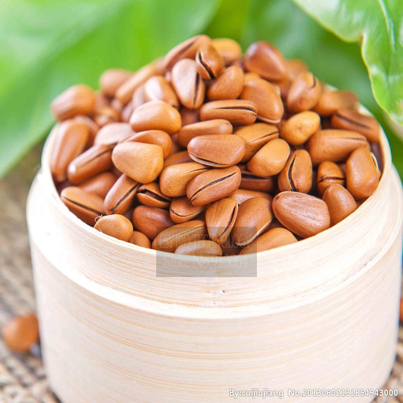 New arrive 0 8kg packing by bulk free shipping Pine nut wholesale red pine nut rich