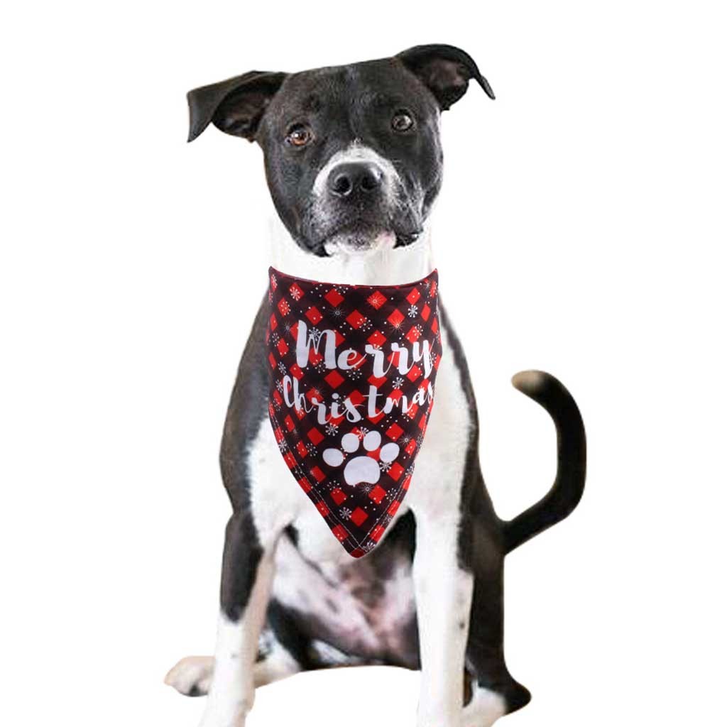 new pet dog bandana 2pc christmas pet costume stylish santa