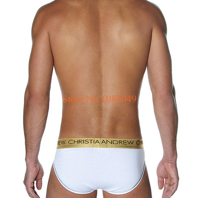 men silk underwear briefs