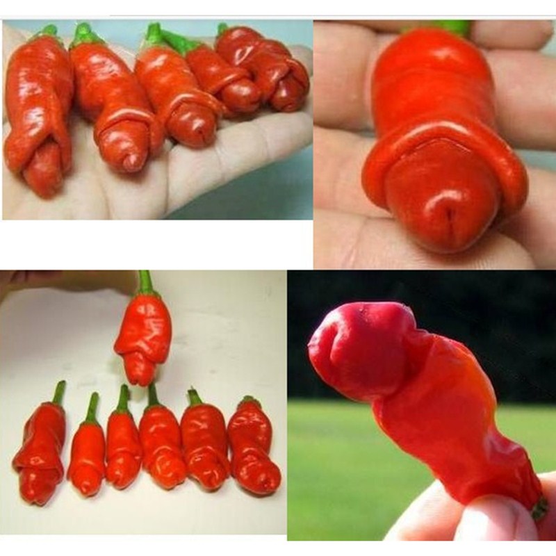pepper seeds reviews online shopping pepper seeds pepper seeds reviews online shopping pepper seeds