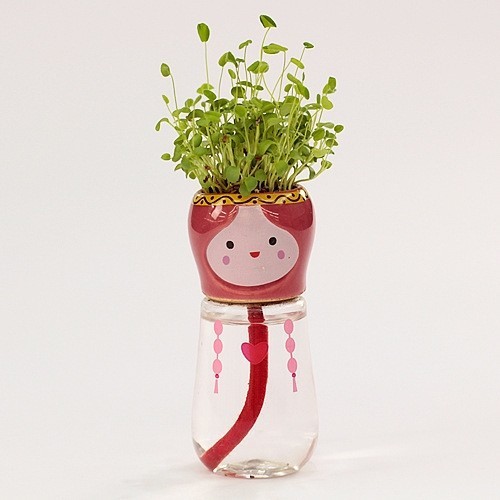 DIY Gift flower planters pot mini bonsai desk decoration home Free shipping...