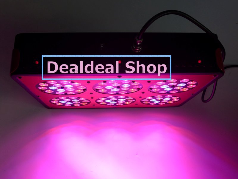 apollo6 led grow light.jpg